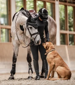 SWING Reithelme></noscript>Reithelm H24 Lady Glossy