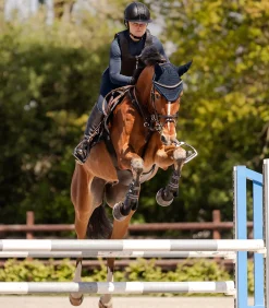 SWING Reithelme></noscript>Reithelm H24 Lady Shine