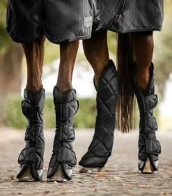 Waldhausen Transport|Stall- & Transportgamaschen><noscript><img width=