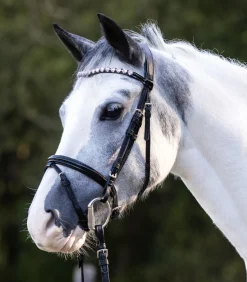 Waldhausen Pony & Shetty|Shetty Trensenzäume></noscript>Trensenzaum Happy Hearts