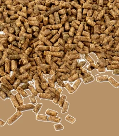 Waldhausen Ergänzungsfuttermittel|Stallapotheke><noscript><img width=