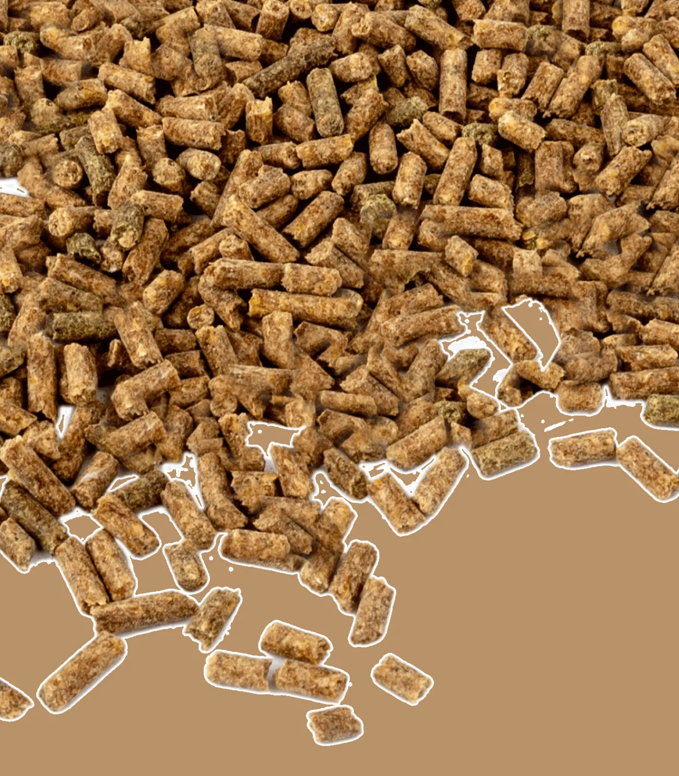 Waldhausen Ergänzungsfuttermittel|Stallapotheke>Vitamin E - Für Leistung & Belastbarkeit, 1kg