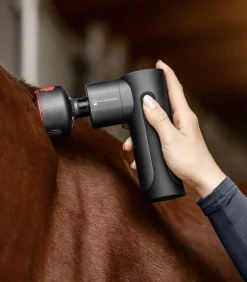 Waldhausen Health + Care Health + Care|Stallapotheke></noscript>Massagegerät Pro, Hot & Cold