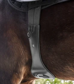 Waldhausen Sattelgurte>Ledersattelgurt