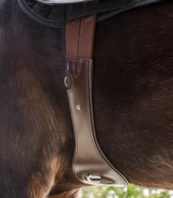 Waldhausen Sattelgurte></noscript>Ledersattelgurt