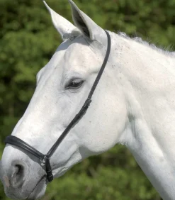 Waldhausen Reithalfter>S-Line hann. Reithalfter