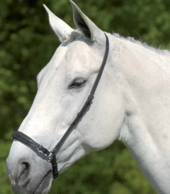 Waldhausen Reithalfter>S-Line hann. Reithalfter, verstellbar