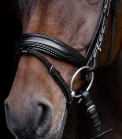 Waldhausen Turniertrensen, Kandaren & Zubehör|Trensenzäume></noscript>S-Line Lacktrensenzaum Blackshine