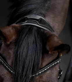 Waldhausen Turniertrensen, Kandaren & Zubehör|Trensenzäume></noscript>S-Line Lacktrensenzaum Blackshine