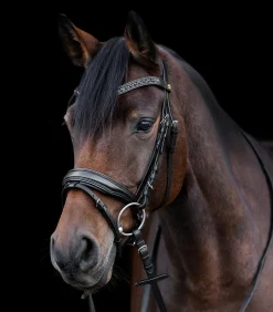 Waldhausen Turniertrensen, Kandaren & Zubehör|Trensenzäume></noscript>S-Line Lacktrensenzaum Blackshine