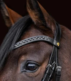 Waldhausen Turniertrensen, Kandaren & Zubehör|Trensenzäume></noscript>S-Line Lacktrensenzaum Blackshine