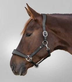 Waldhausen Halfter>S-Line Lederhalfter Anatomic