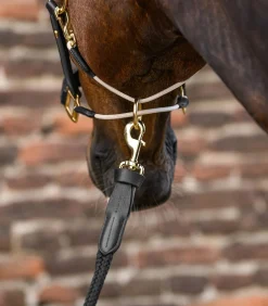 Waldhausen Halfter></noscript>S-Line Lederhalfter Royal