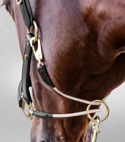 Waldhausen Halfter></noscript>S-Line Lederhalfter Royal