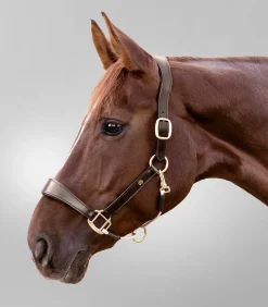 Waldhausen Halfter></noscript>S-Line Lederhalfter Royal