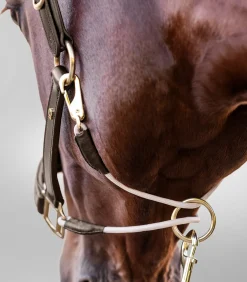 Waldhausen Halfter></noscript>S-Line Lederhalfter Royal