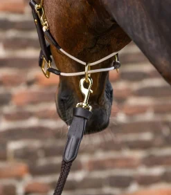 Waldhausen Halfter></noscript>S-Line Lederhalfter Royal