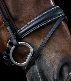 Waldhausen Trensenzäume><noscript><img width=