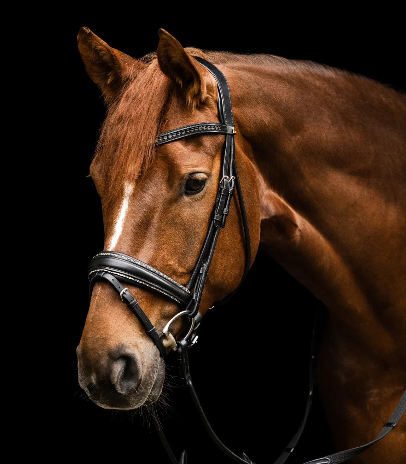 Waldhausen Trensenzäume>S-Line Trensenzaum Glamour