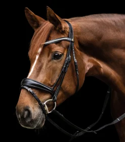 Waldhausen Trensenzäume></noscript>S-Line Trensenzaum Essential