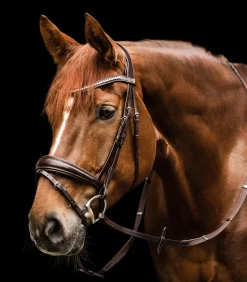 Waldhausen Trensenzäume></noscript>S-Line Trensenzaum Essential