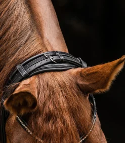 Waldhausen Turniertrensen, Kandaren & Zubehör|Trensenzäume>S-Line Trensenzaum Magic