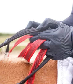 Waldhausen Pony & Shetty>Vorderzeug mit Sicherheitszügel Secutrust