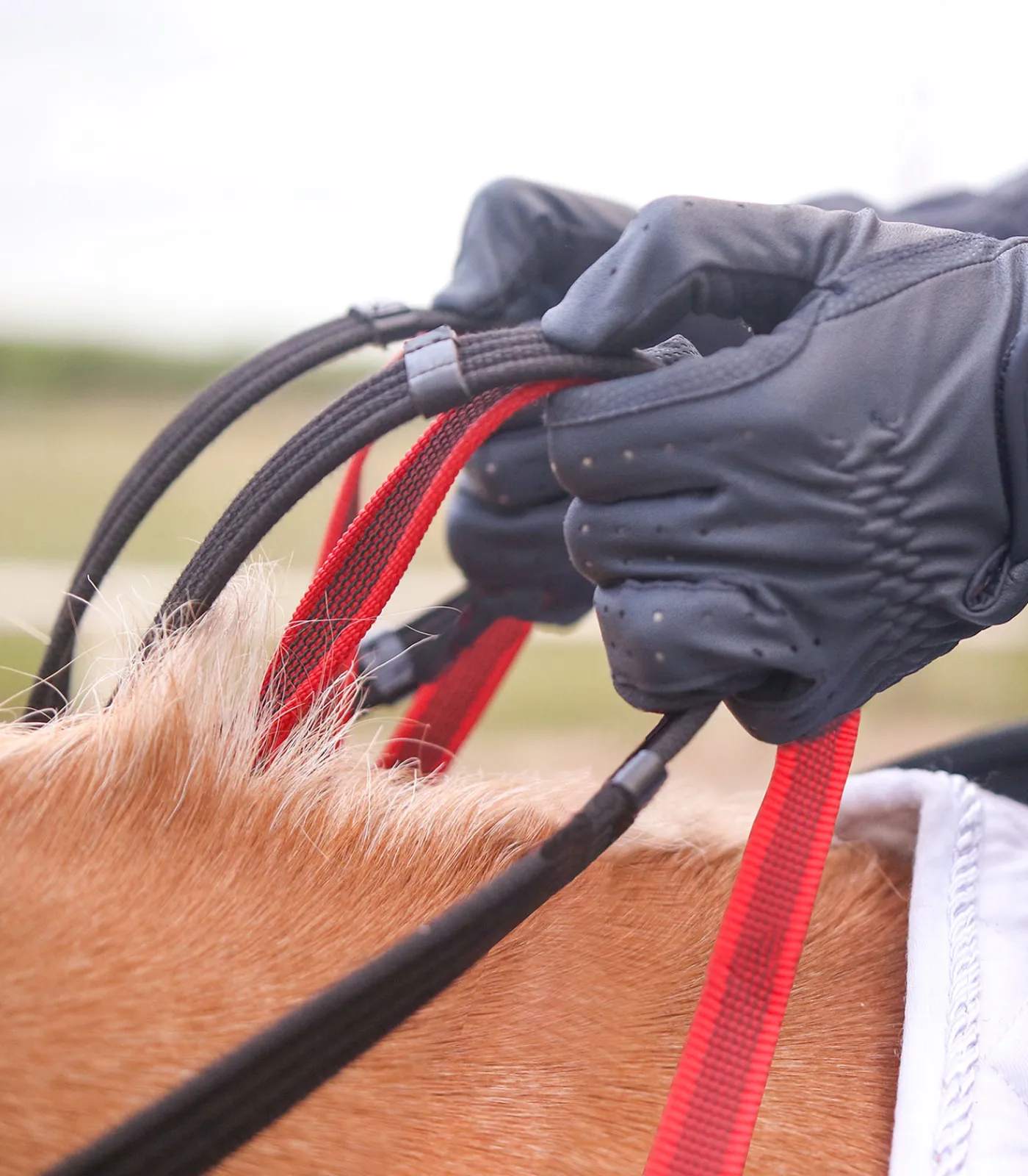 Waldhausen Pony & Shetty>Vorderzeug mit Sicherheitszügel Secutrust