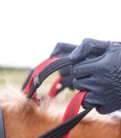 Waldhausen Pony & Shetty><noscript><img width=