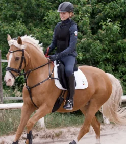 Waldhausen Pony & Shetty><noscript><img width=