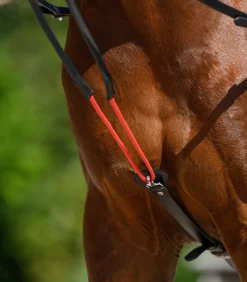 Waldhausen Longierhilfen & Ausbinder|Hilfszügel>W-trainRein