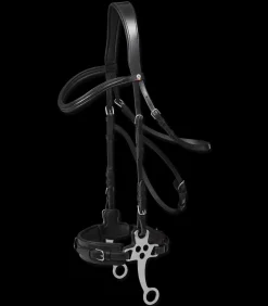 Waldhausen Trensenzäume><noscript><img width=