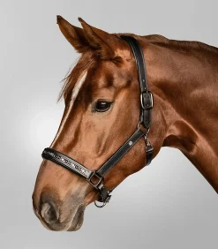 Waldhausen Halfter><noscript><img width=