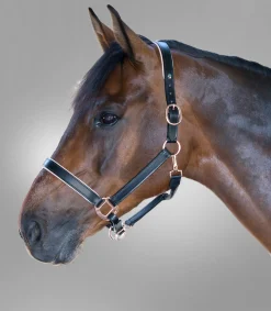 Waldhausen Halfter>X-Line Lederhalfter Rosé