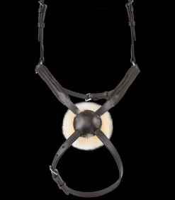 Waldhausen Trensenzäume></noscript>X-Line Standard Trensenzaum Cancún