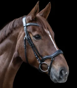 Waldhausen Western|Trensenzäume><noscript><img width=