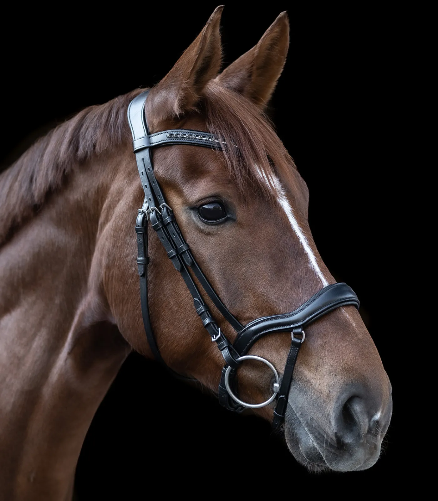 Waldhausen Western|Trensenzäume>X-Line Trensenzaum New Shape II