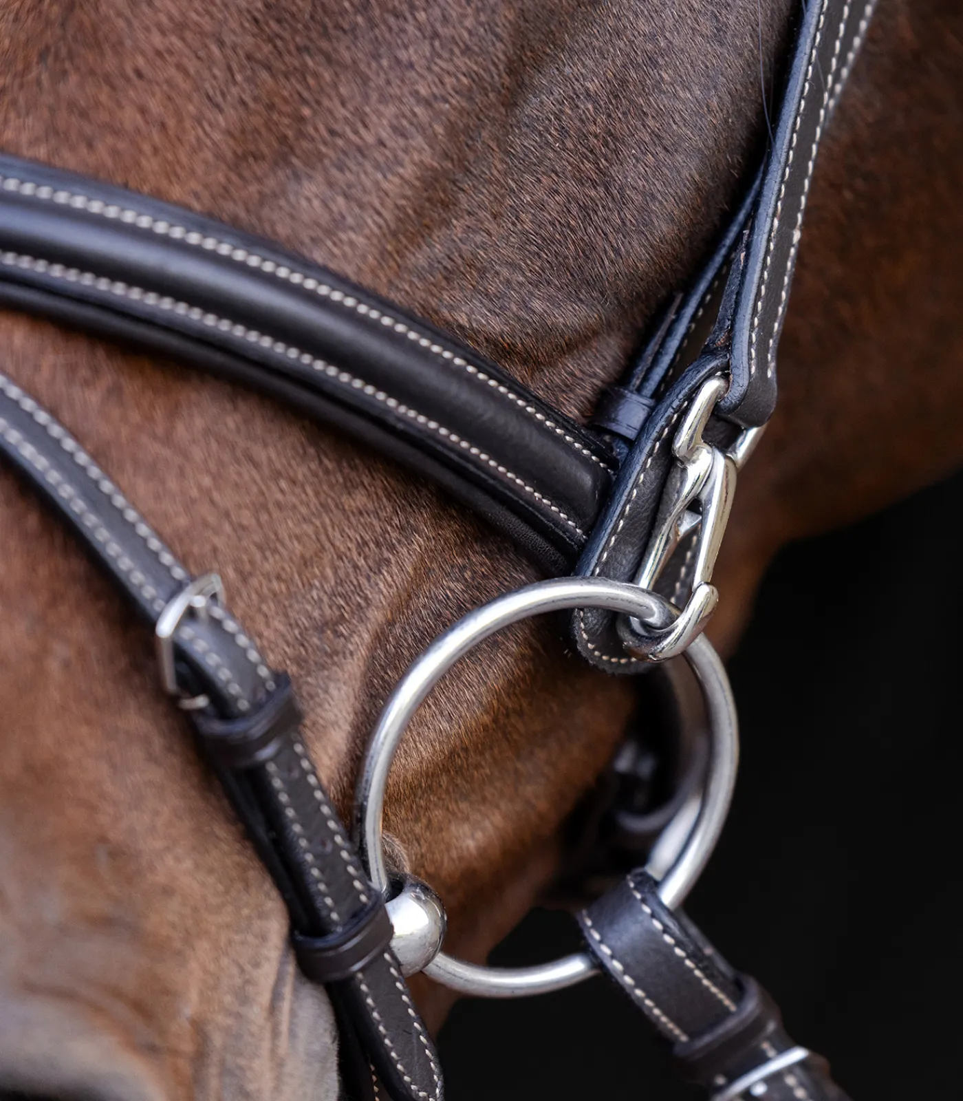 Waldhausen Trensenzäume>X-Line Trensenzaum Work