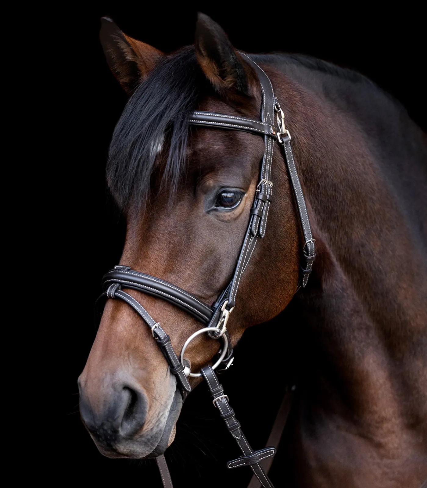 Waldhausen Trensenzäume>X-Line Trensenzaum Work