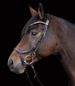 Waldhausen Trensenzäume><noscript><img width=