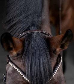 Waldhausen Trensenzäume><noscript><img width=