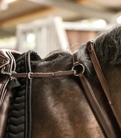 Waldhausen Vorderzeug><noscript><img width=