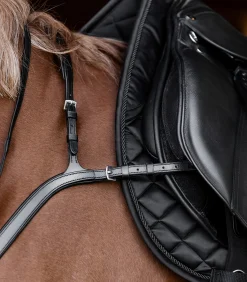 Waldhausen Vorderzeug><noscript><img width=