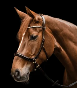 Waldhausen Trensenzäume>X-Line Zaum Gebisslos Sensation