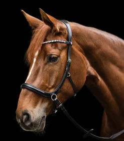 Waldhausen Trensenzäume><noscript><img width=