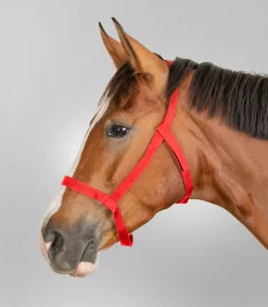 Waldhausen Weide|Pony & Shetty>Weidehalfter