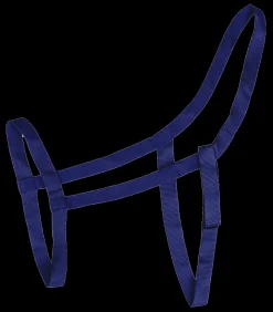 Waldhausen Weide|Pony & Shetty></noscript>Weidehalfter