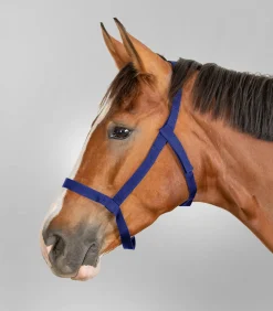 Waldhausen Weide|Pony & Shetty></noscript>Weidehalfter