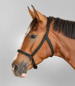 Waldhausen Weide|Pony & Shetty></noscript>Weidehalfter