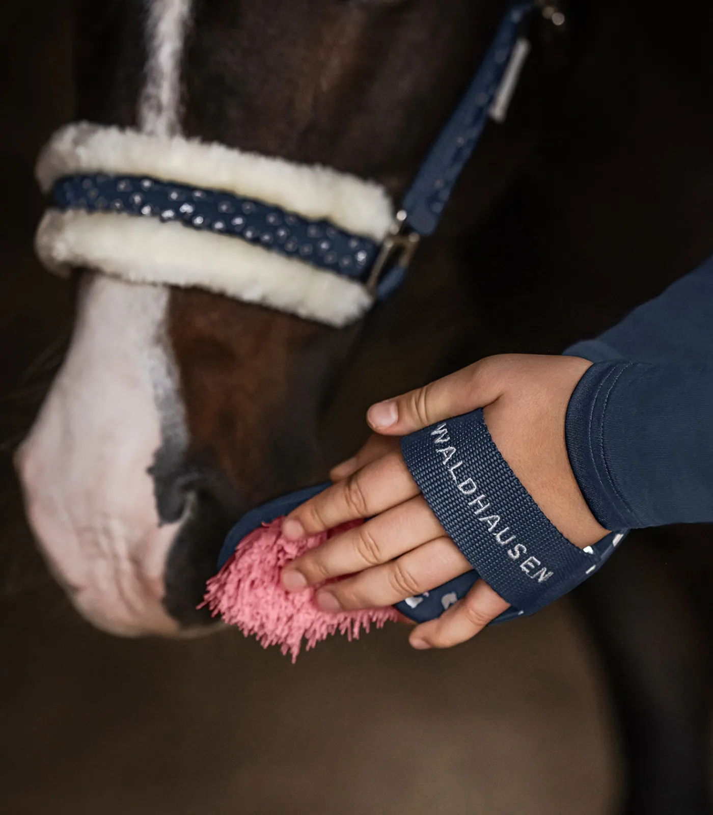 Waldhausen Putzzeug>Wurzelbürste Lucky